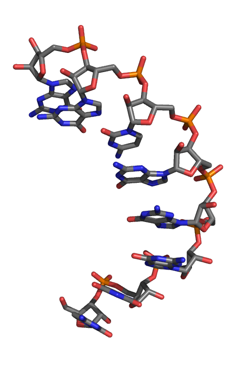 aptamer, from the latin aptus