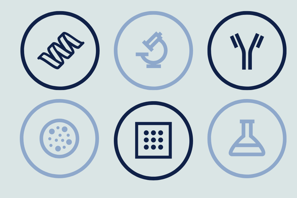 Summarised top 100 antibodies, proteins, lipids, biochemicals, and