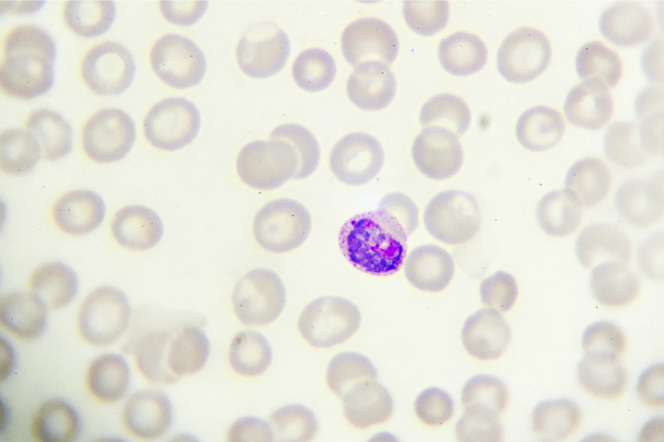 Which are the leading institutions for research into the ‘big three