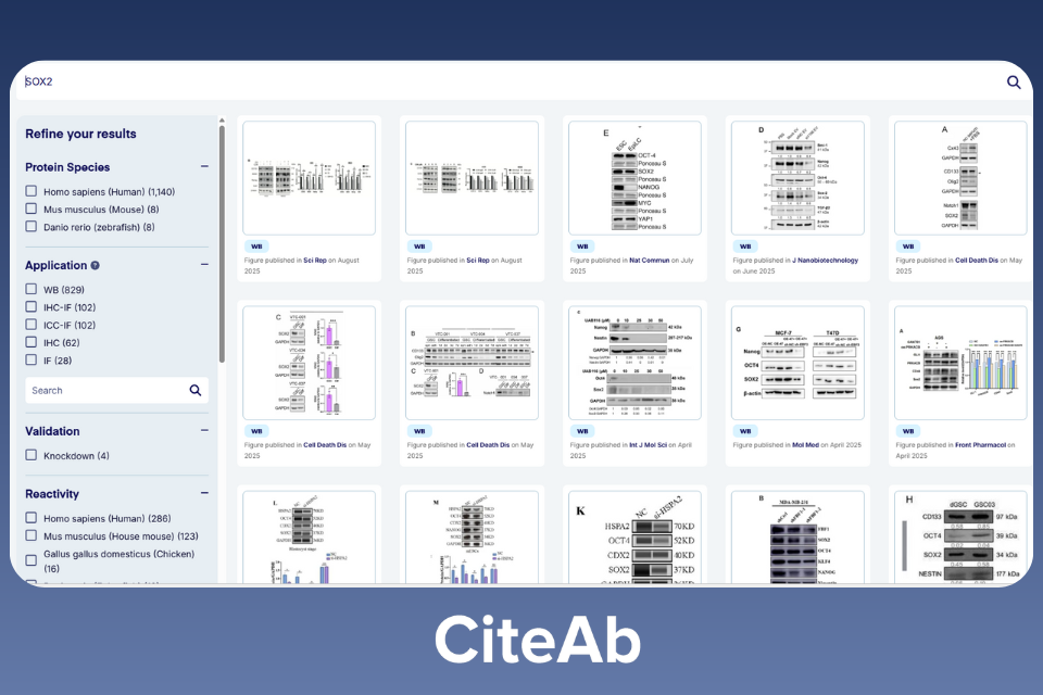 Scientific Image Search Engine